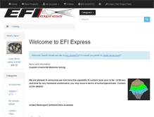 Tablet Screenshot of efiexpress.com